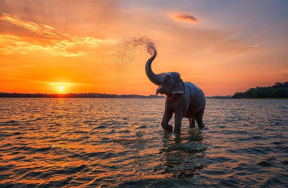 Sri Lanka tour package